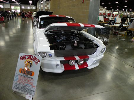 white mustang